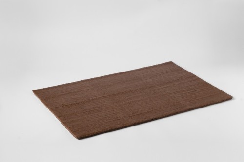 PLANCHA DE  BIZCOCHO...